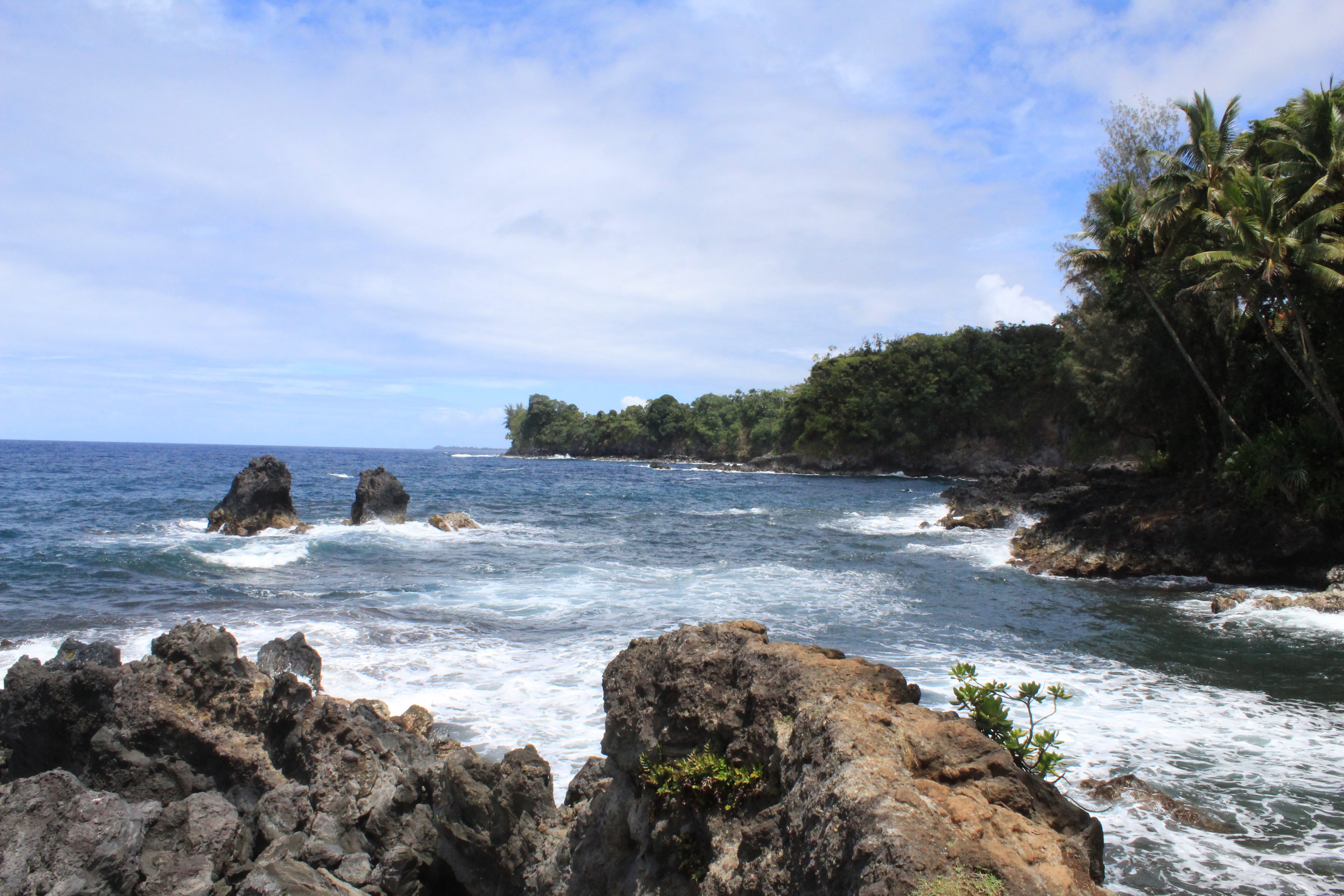Stephen Schmidt, Astrophysicist
