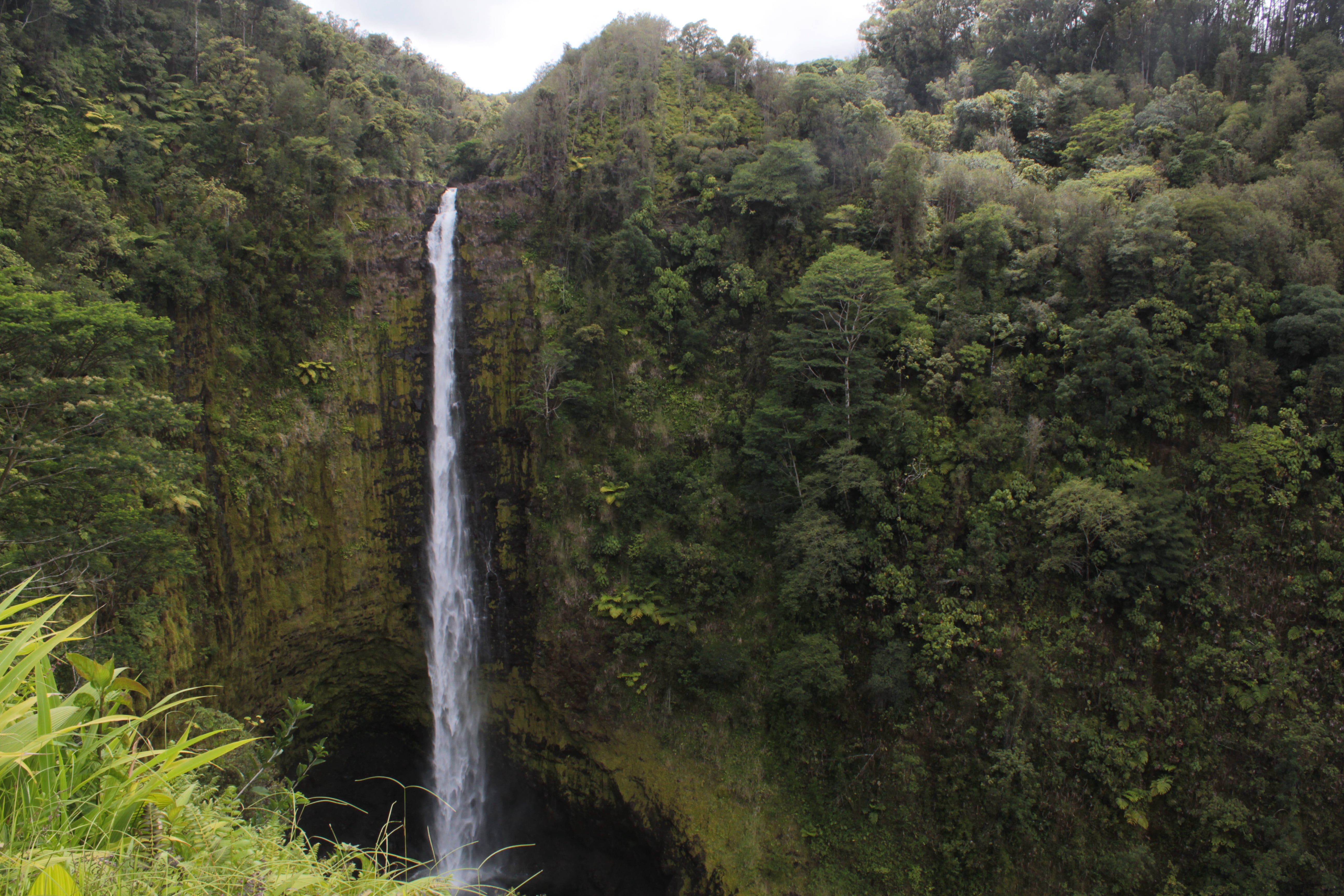 Stephen Schmidt, Astrophysicist
