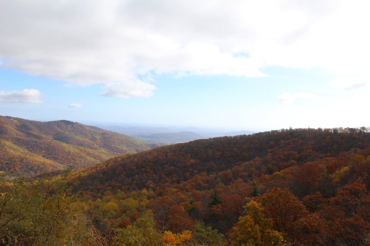 Stephen Schmidt, Astrophysicist