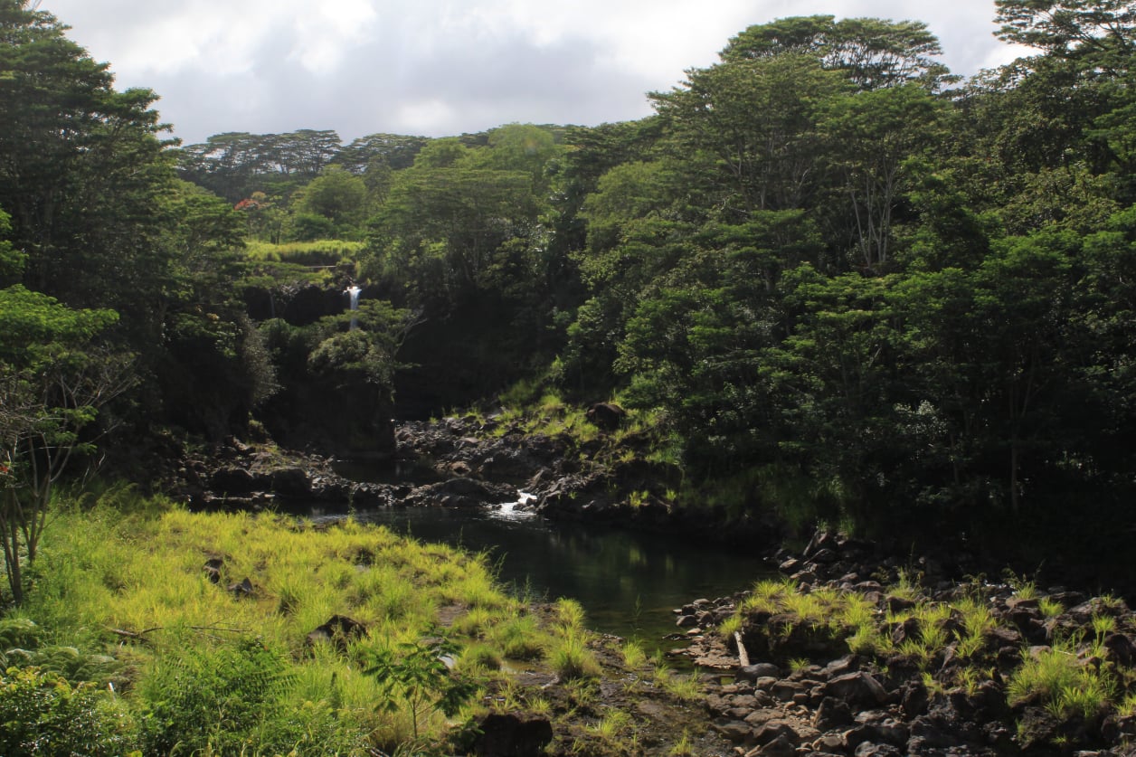 Stephen Schmidt, Astrophysicist