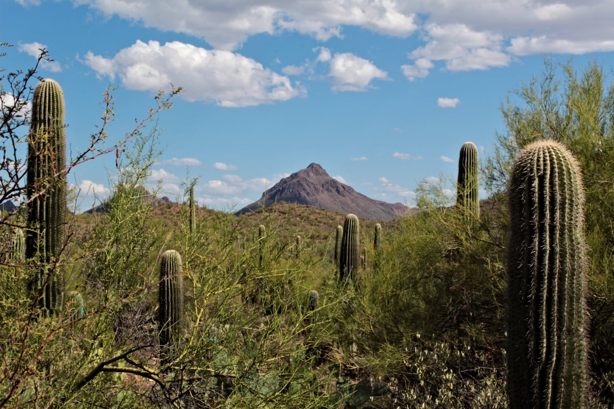 Stephen Schmidt, Astrophysicist
