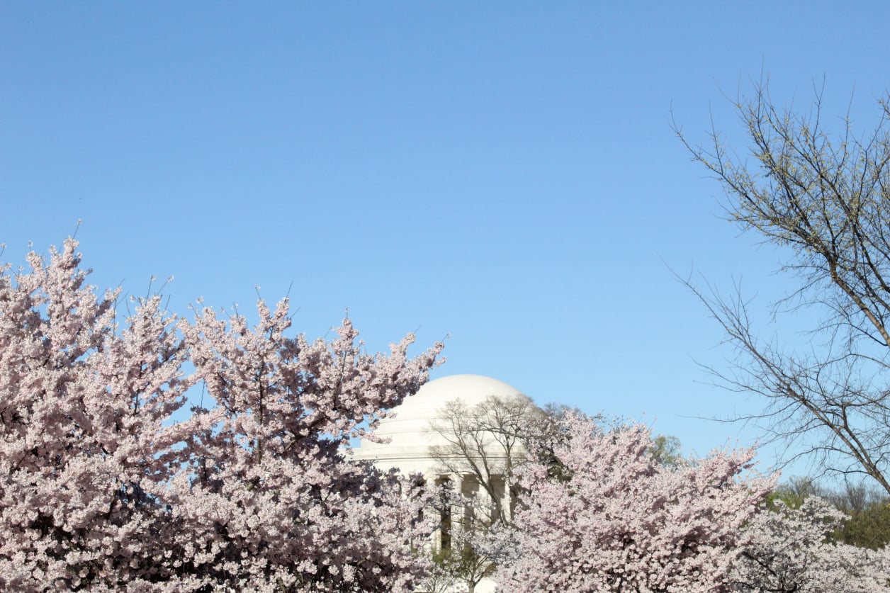 Stephen Schmidt, Astrophysicist