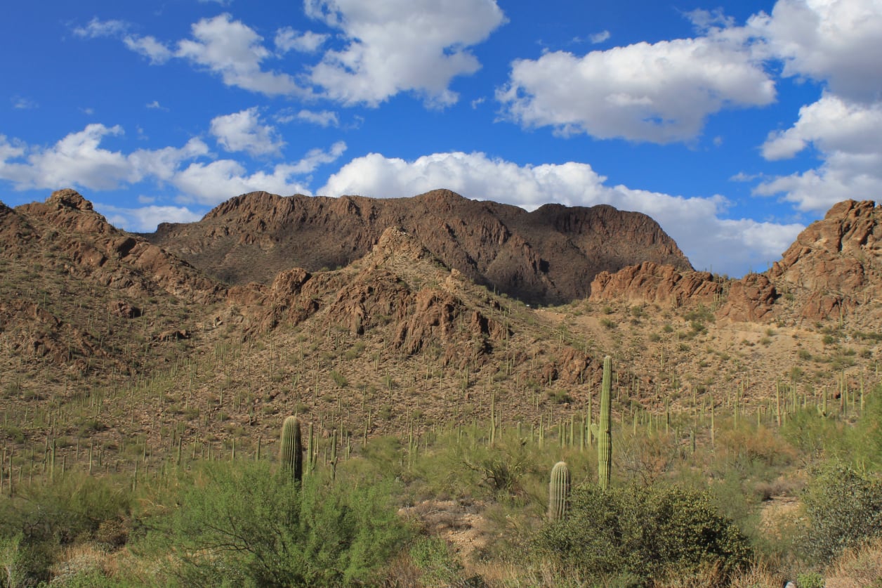 Stephen Schmidt, Astrophysicist