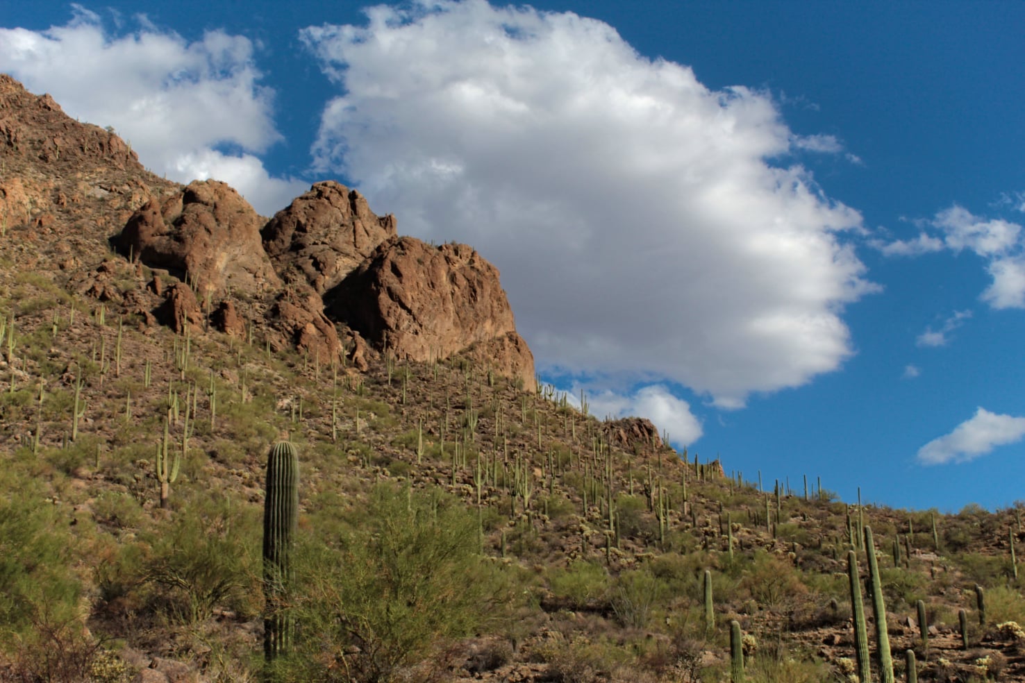 Stephen Schmidt, Astrophysicist