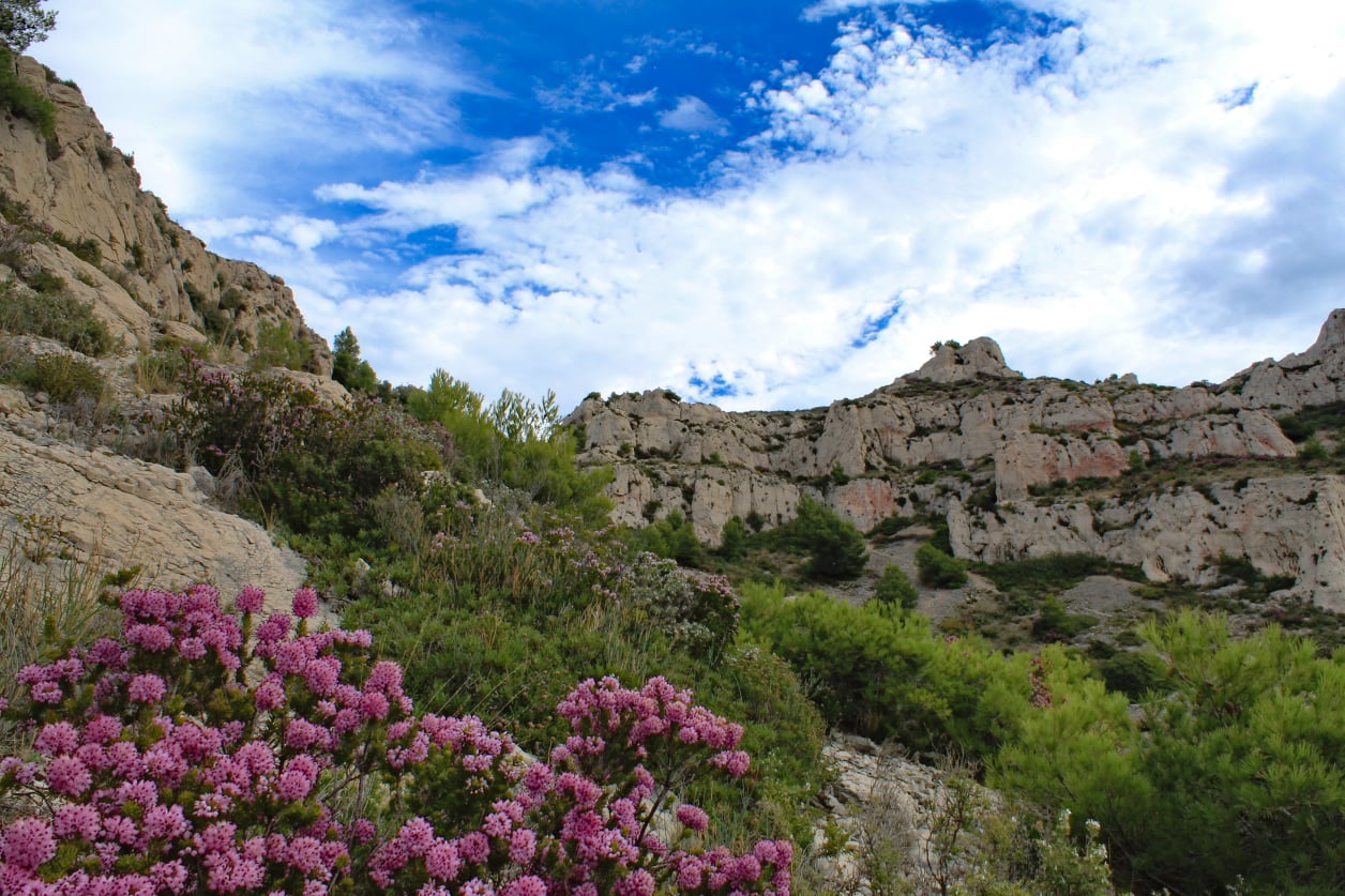 Stephen Schmidt, Astrophysicist