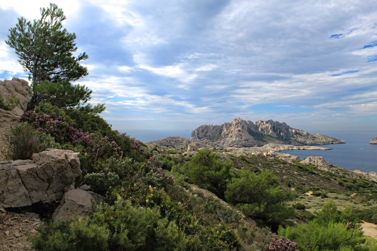 Stephen Schmidt, Astrophysicist