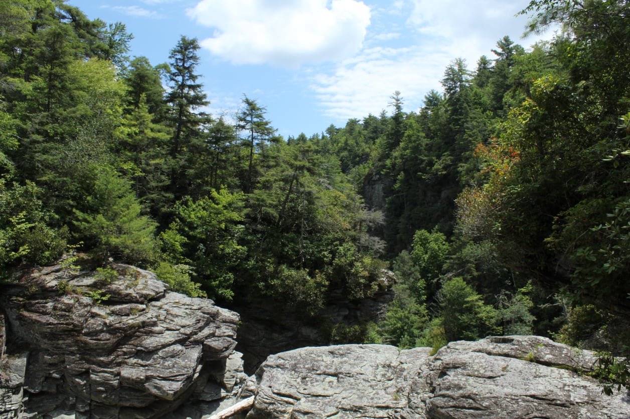 Stephen Schmidt, Astrophysicist