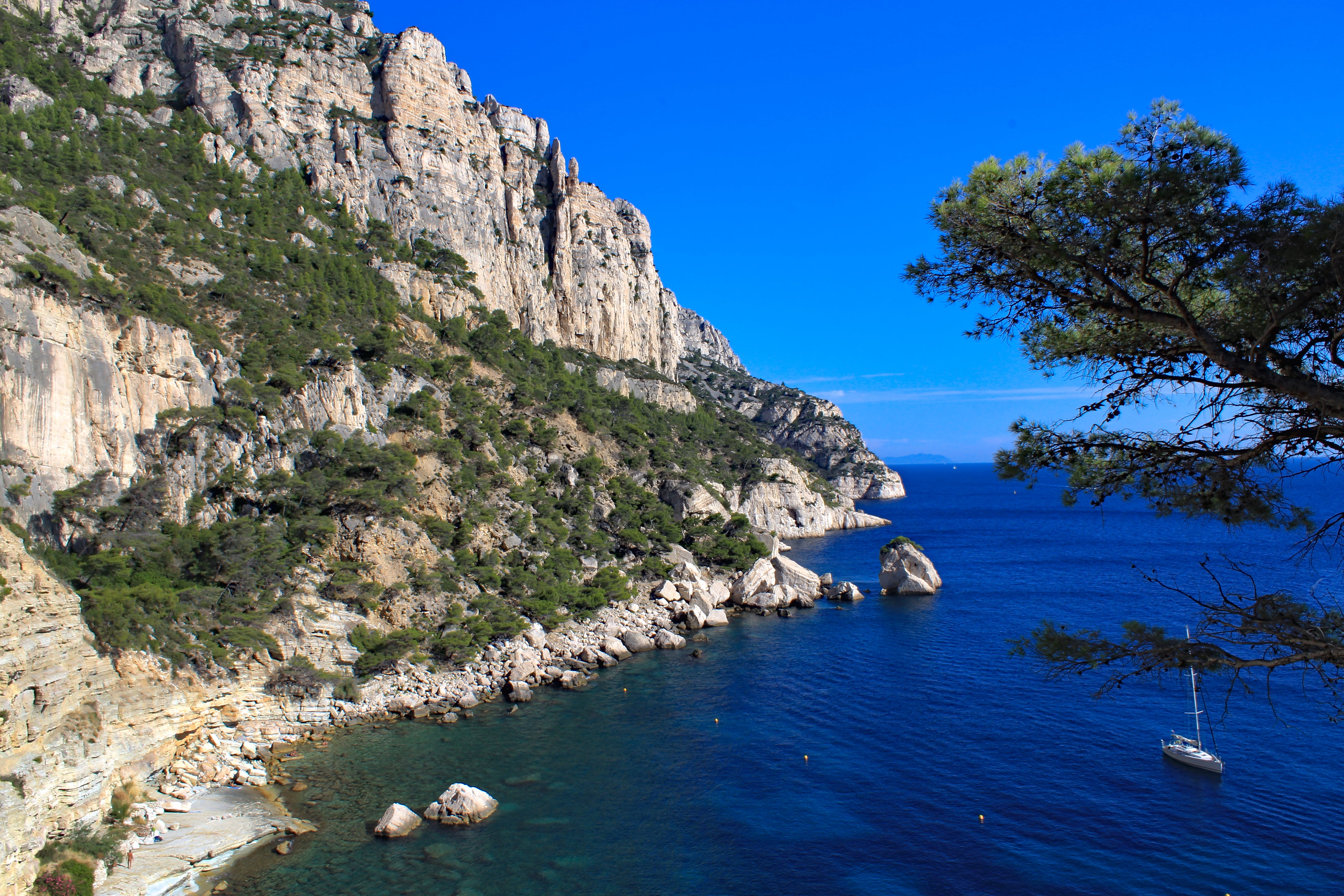 Stephen Schmidt, Astrophysicist