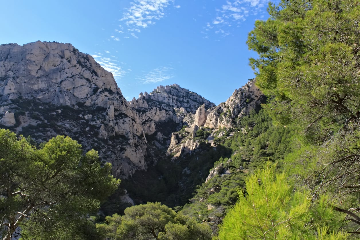 Stephen Schmidt, Astrophysicist