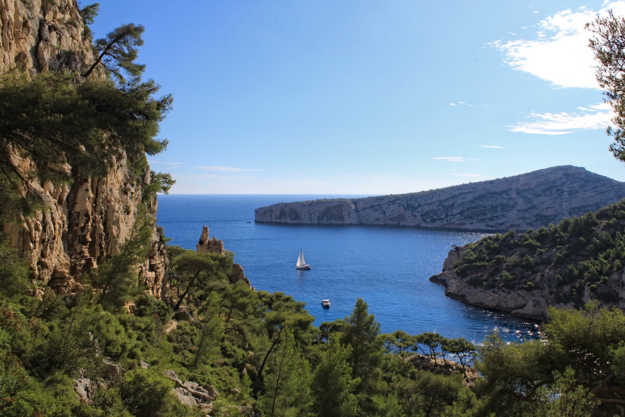 Stephen Schmidt, Astrophysicist