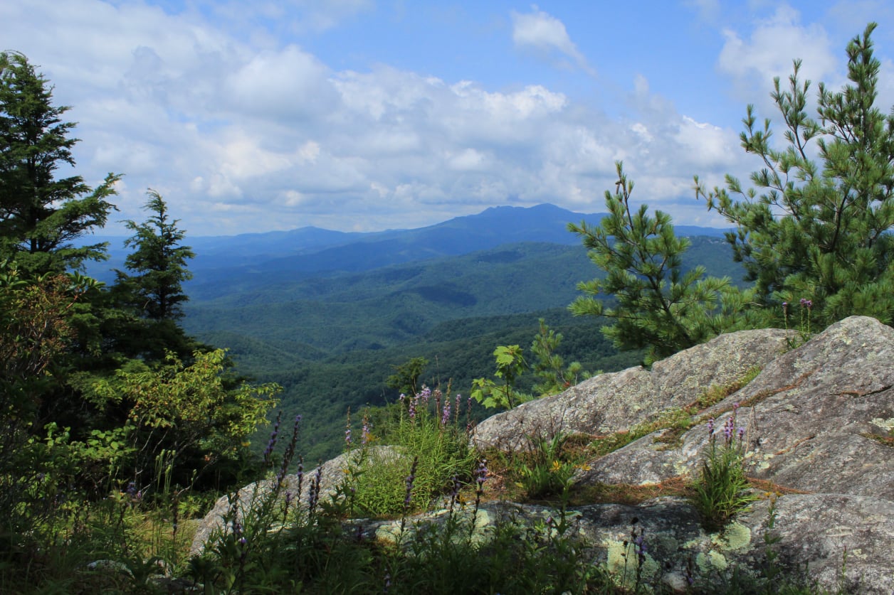 Stephen Schmidt, Astrophysicist