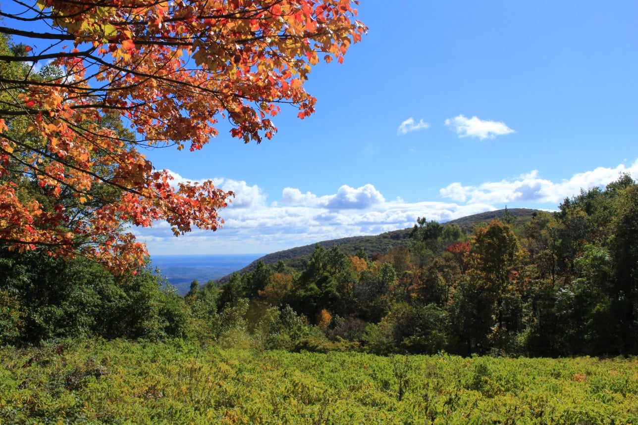 Stephen Schmidt, Astrophysicist