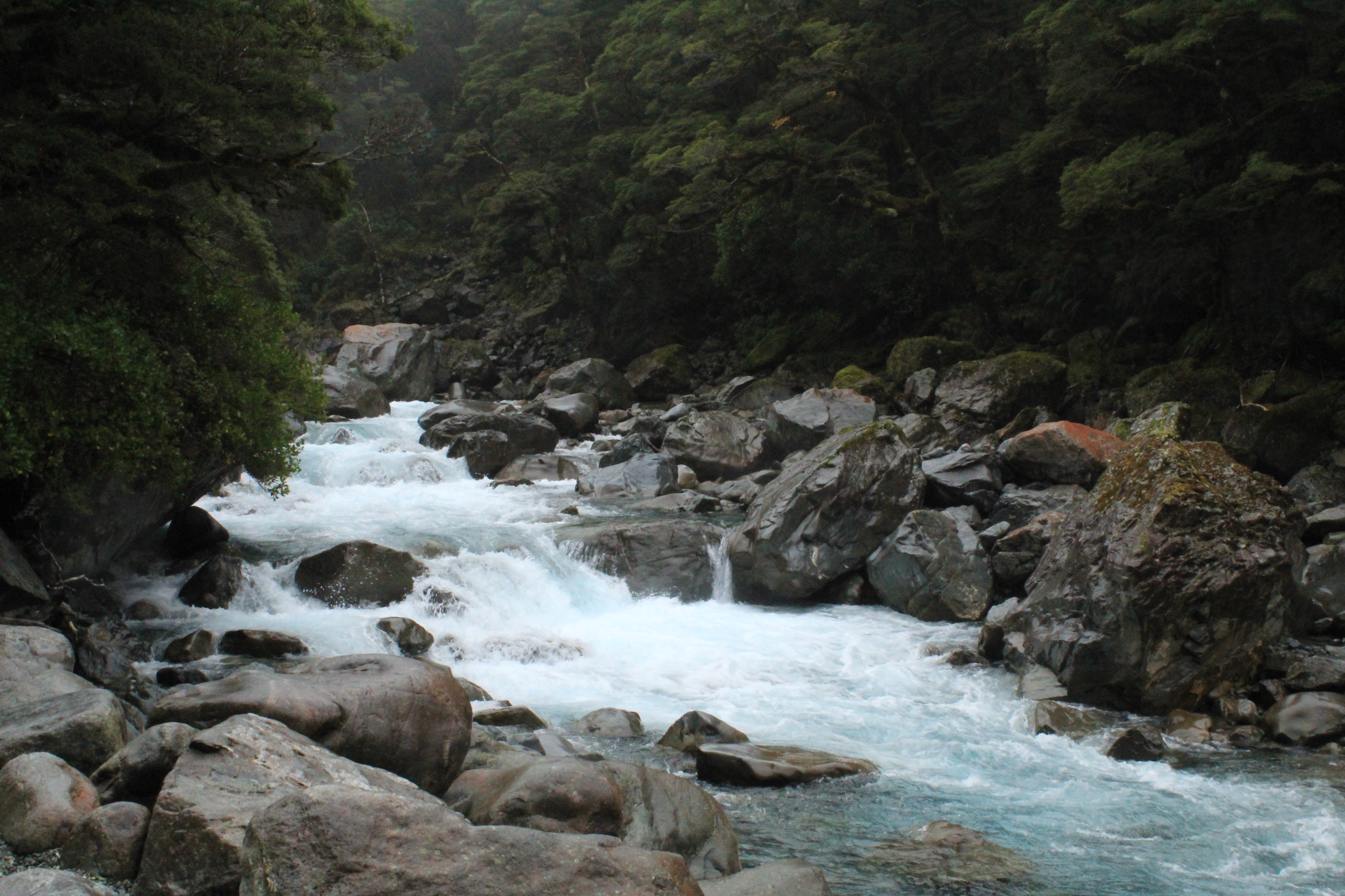 Stephen Schmidt, Astrophysicist