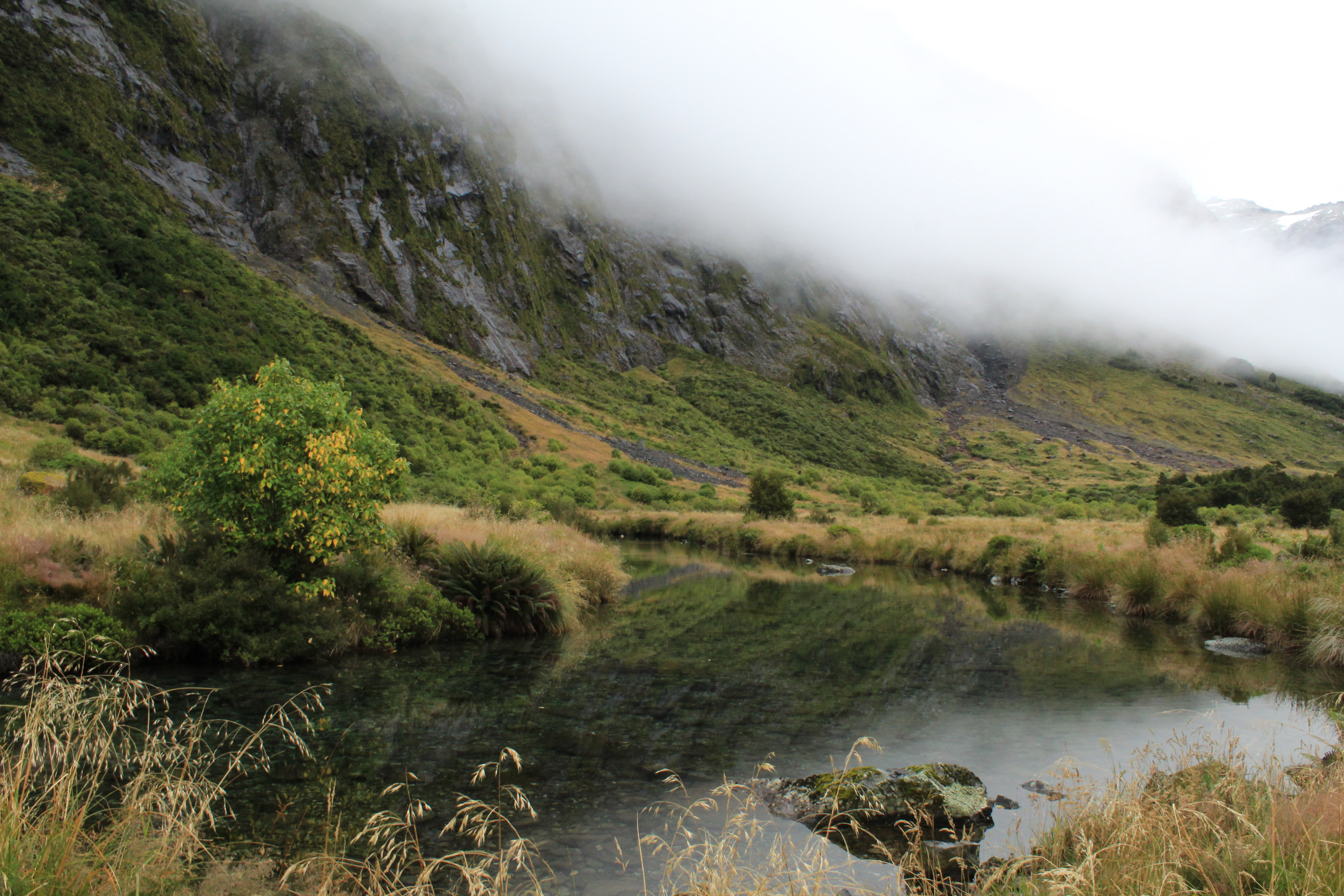 Stephen Schmidt, Astrophysicist