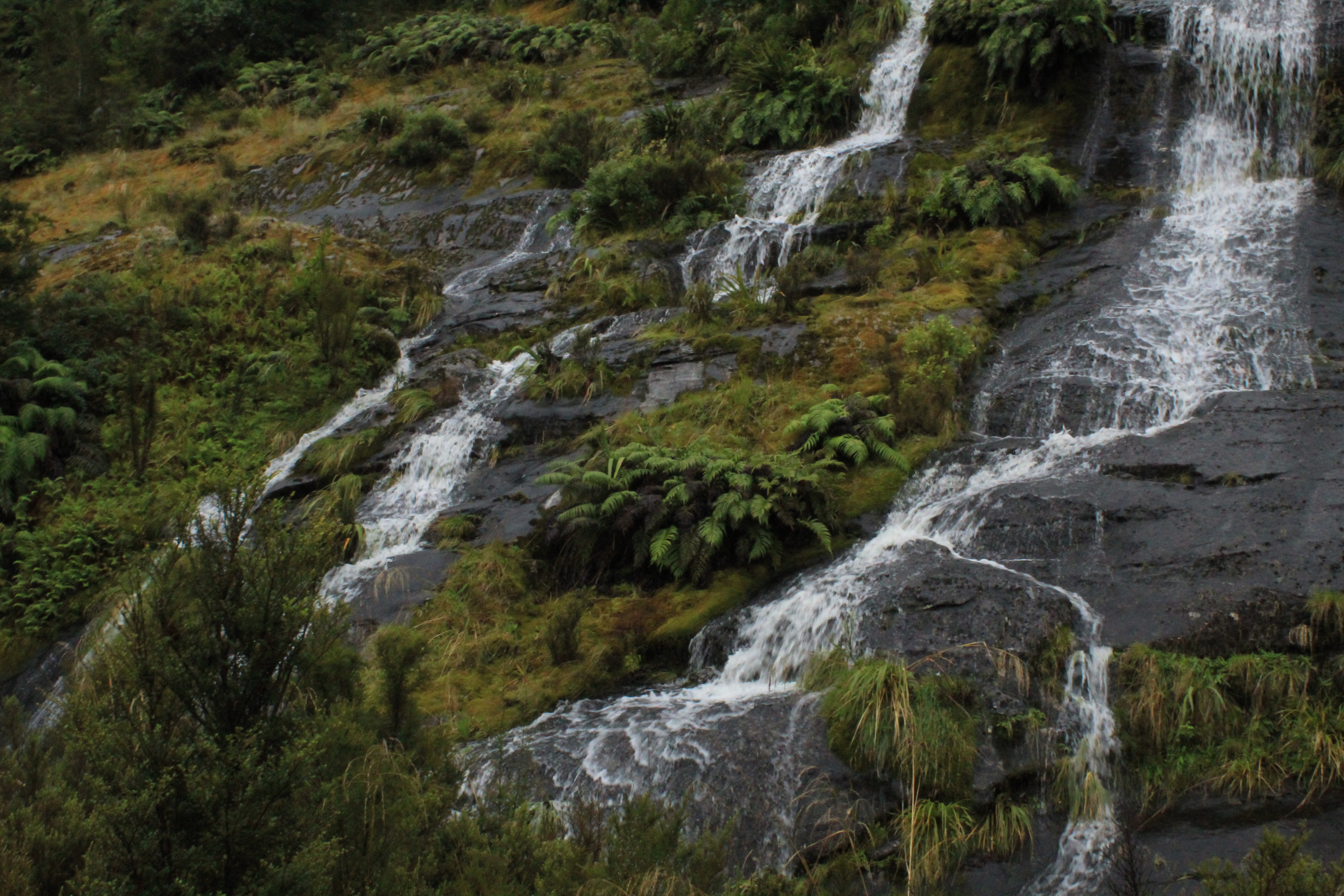 Stephen Schmidt, Astrophysicist