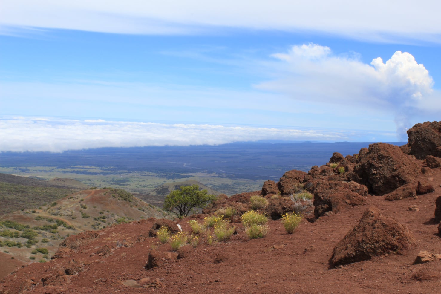 Stephen Schmidt, Astrophysicist